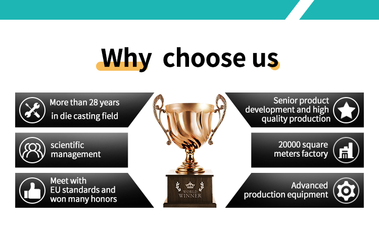 Why Choose Us Details