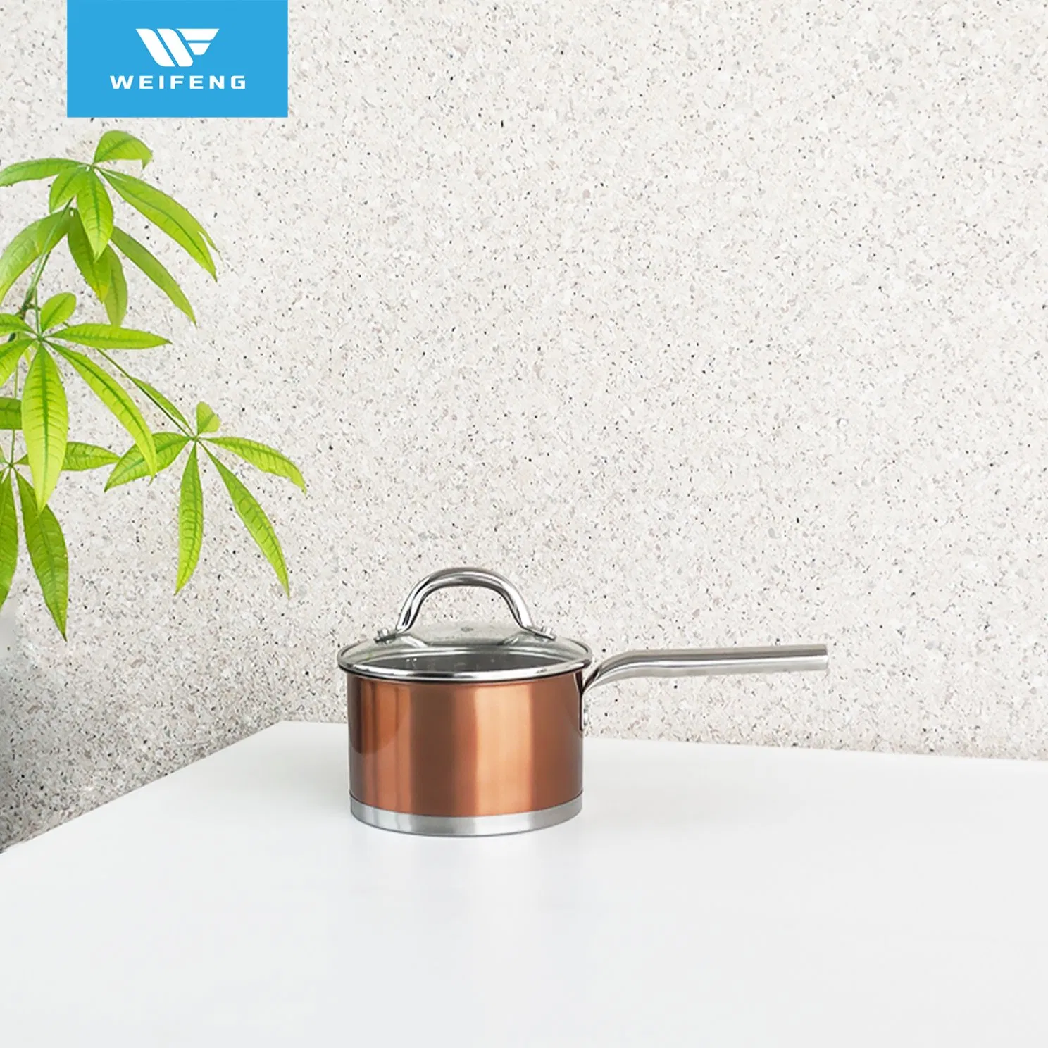 Copper Color Stainless Steel Cookware with Hollow Ss Handle, Houseware