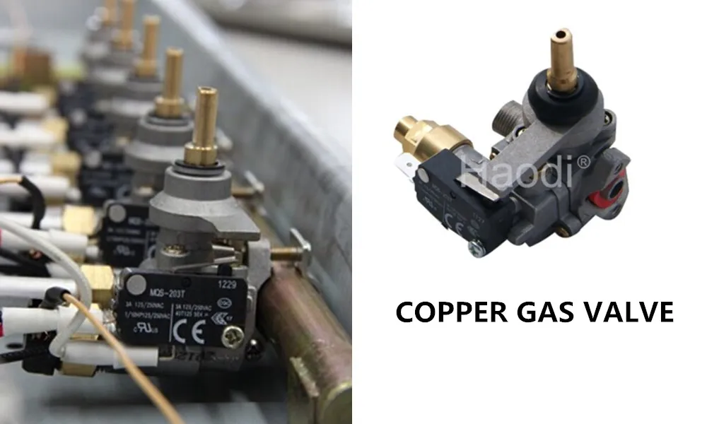 Gas Valve System
