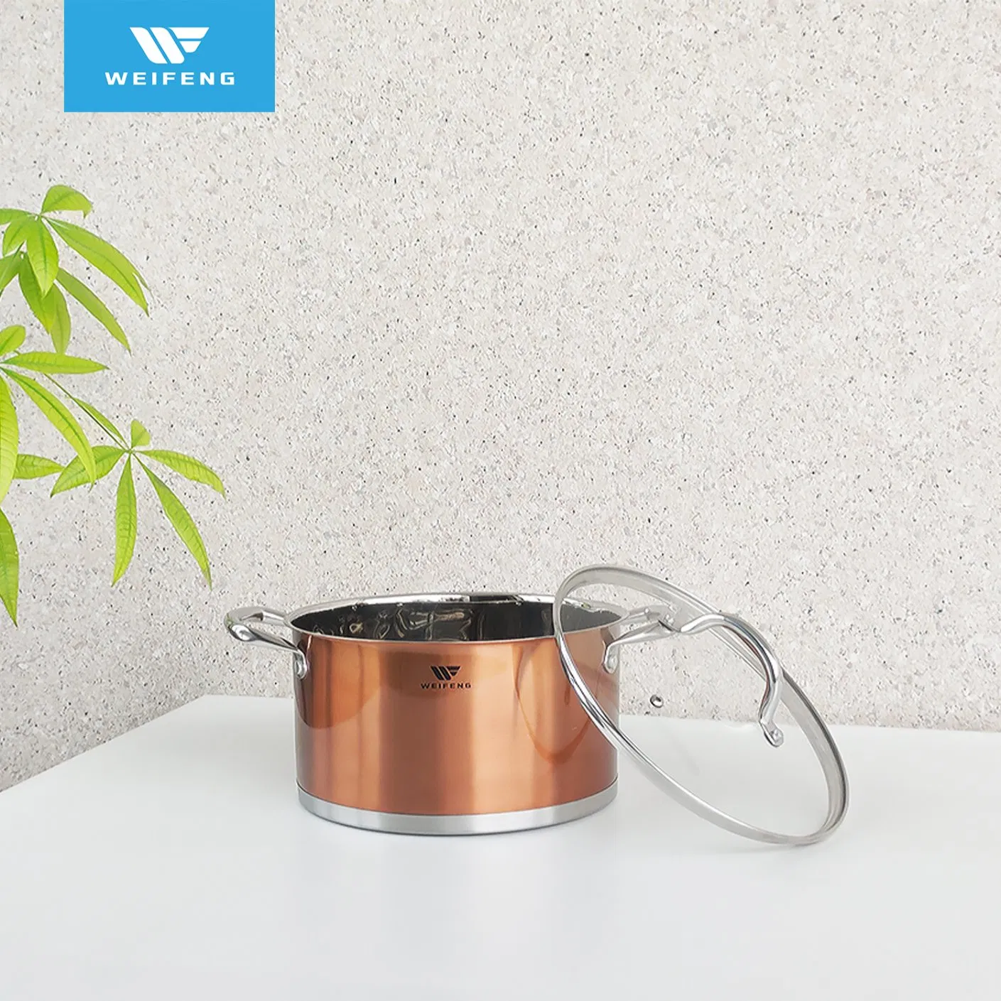 Copper Color Stainless Steel Cookware with Hollow Ss Handle, Houseware
