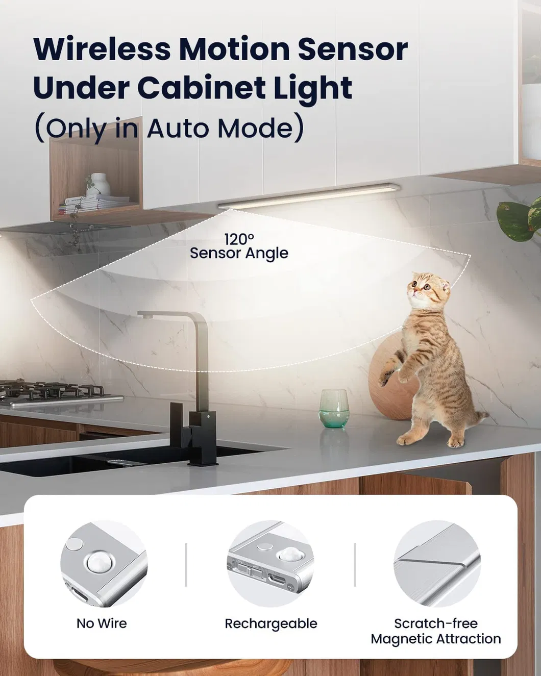 Cabinet Light Description 1