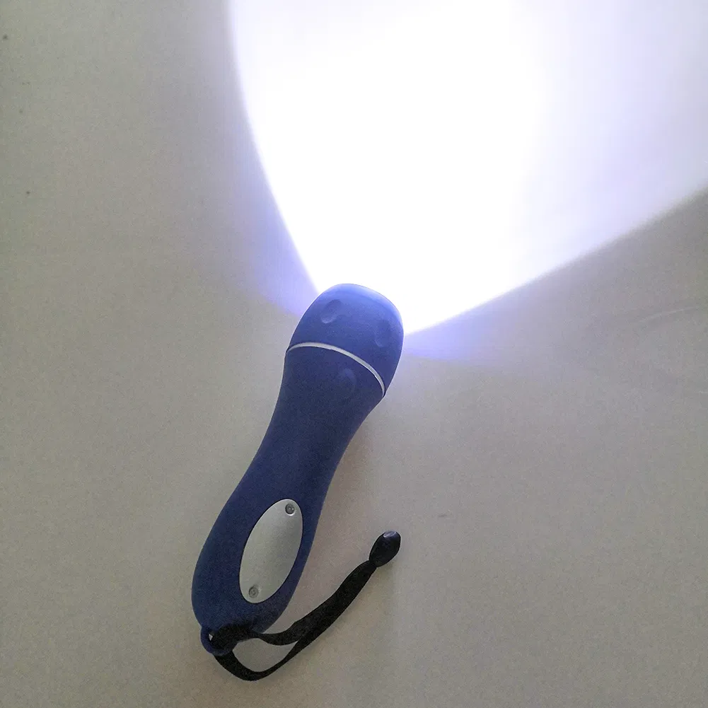 LED Flashlight Main