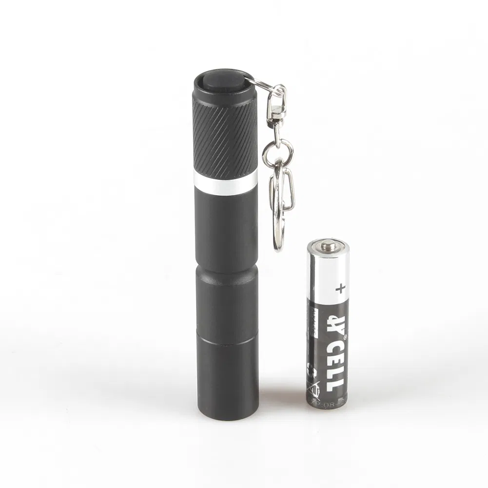 Yichen 1xaaa Battery Operated Portable LED Flashlight with Keychain