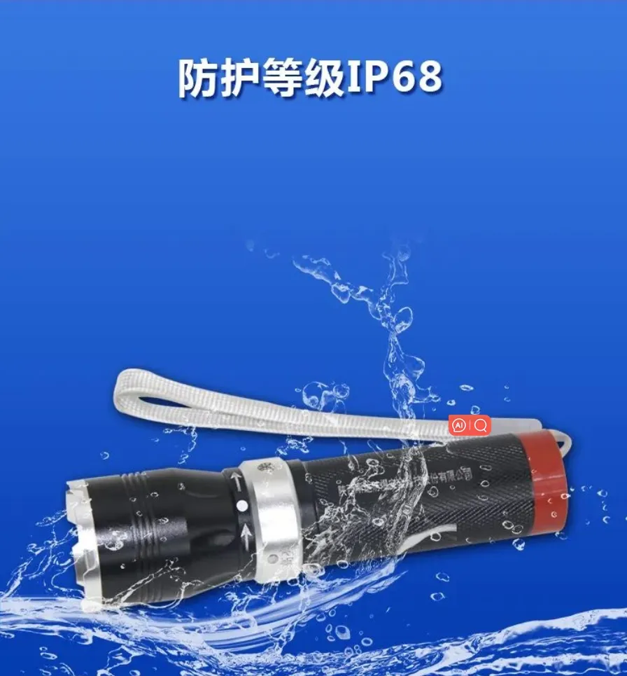 Explosion-Proof Flashlight Detail 4