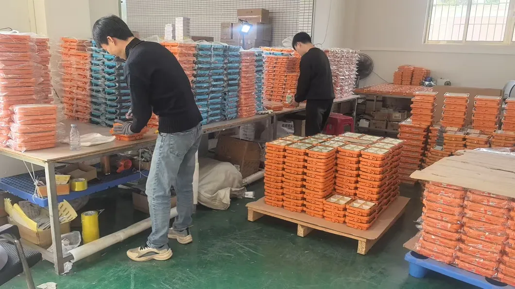 Solar Lantern View 9