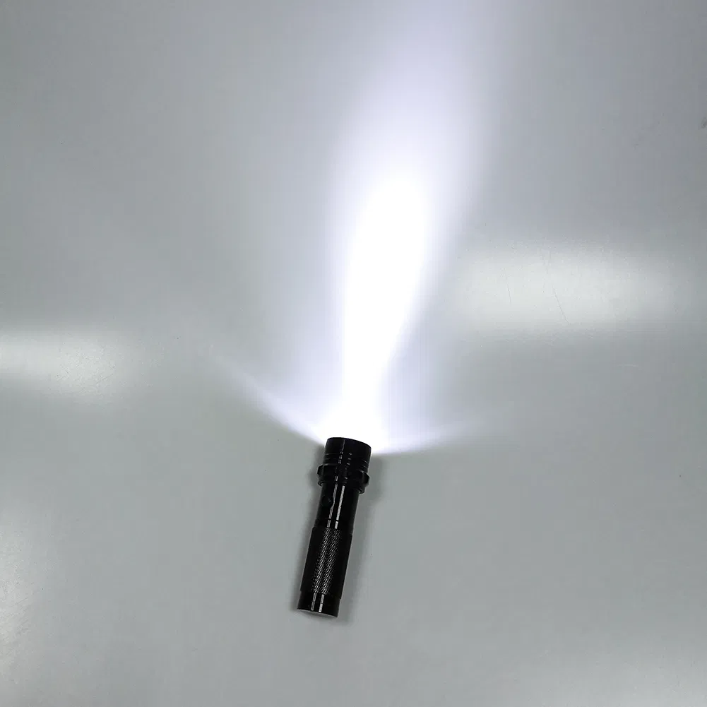LED Torch 6