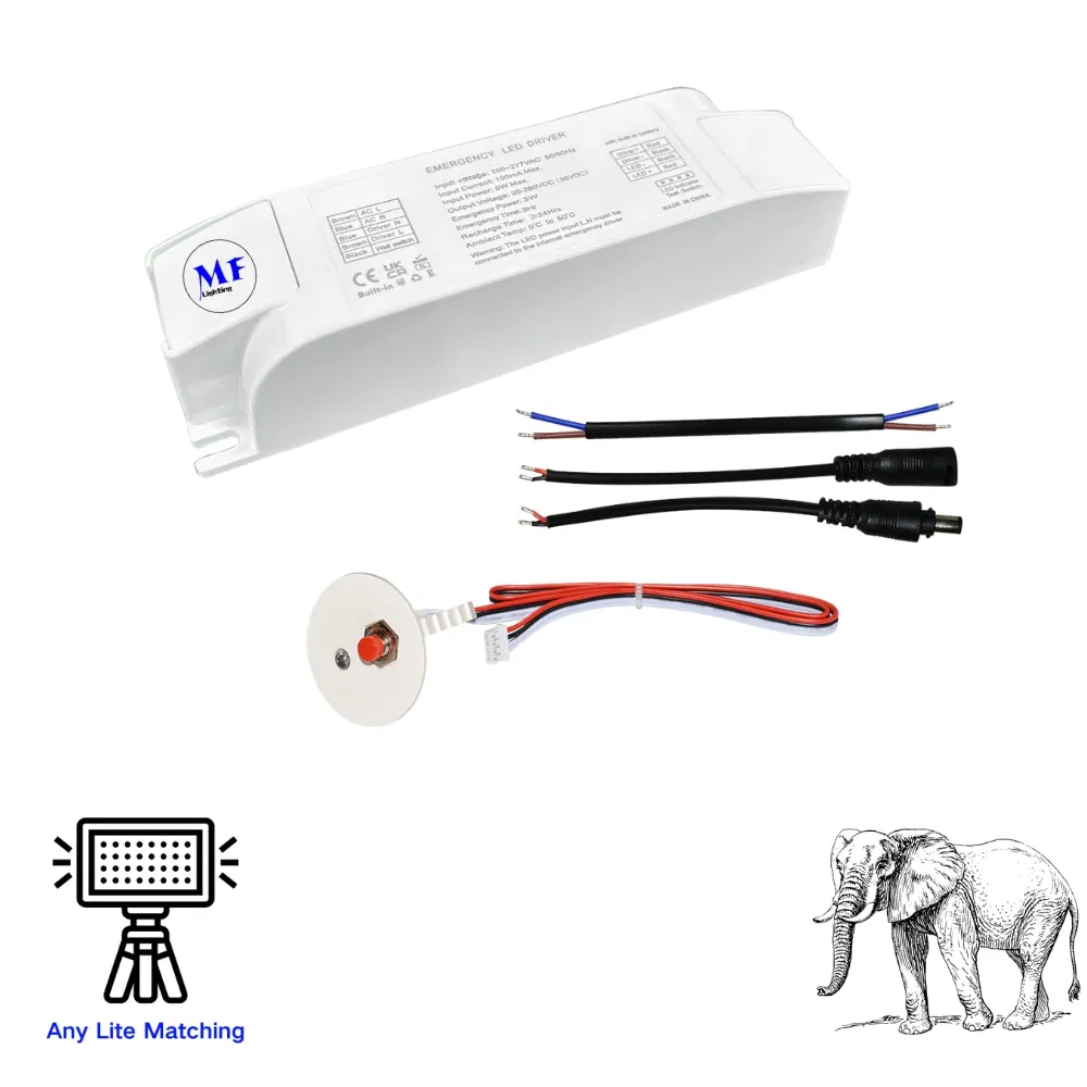 LED Emergency Driver