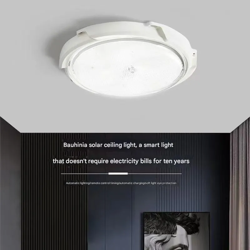 Indoor Solar Light 4