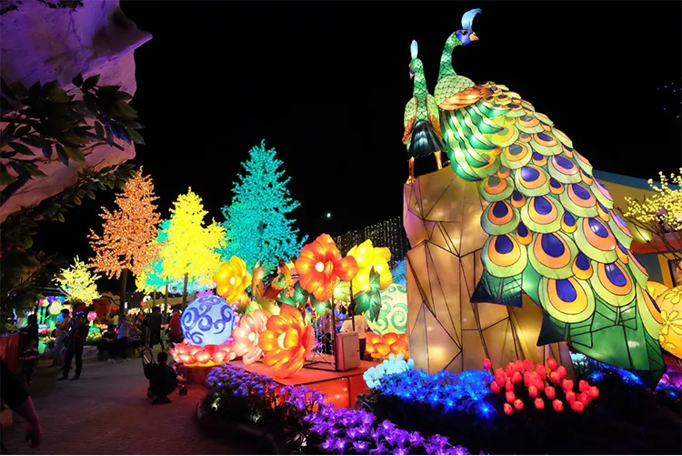 Chinese Lantern Art 6