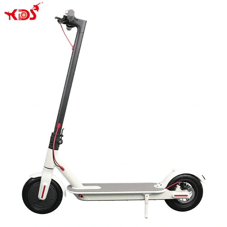 350W Xiaomi Style Intelligent Foldable Adult Electric Scooter Ebike