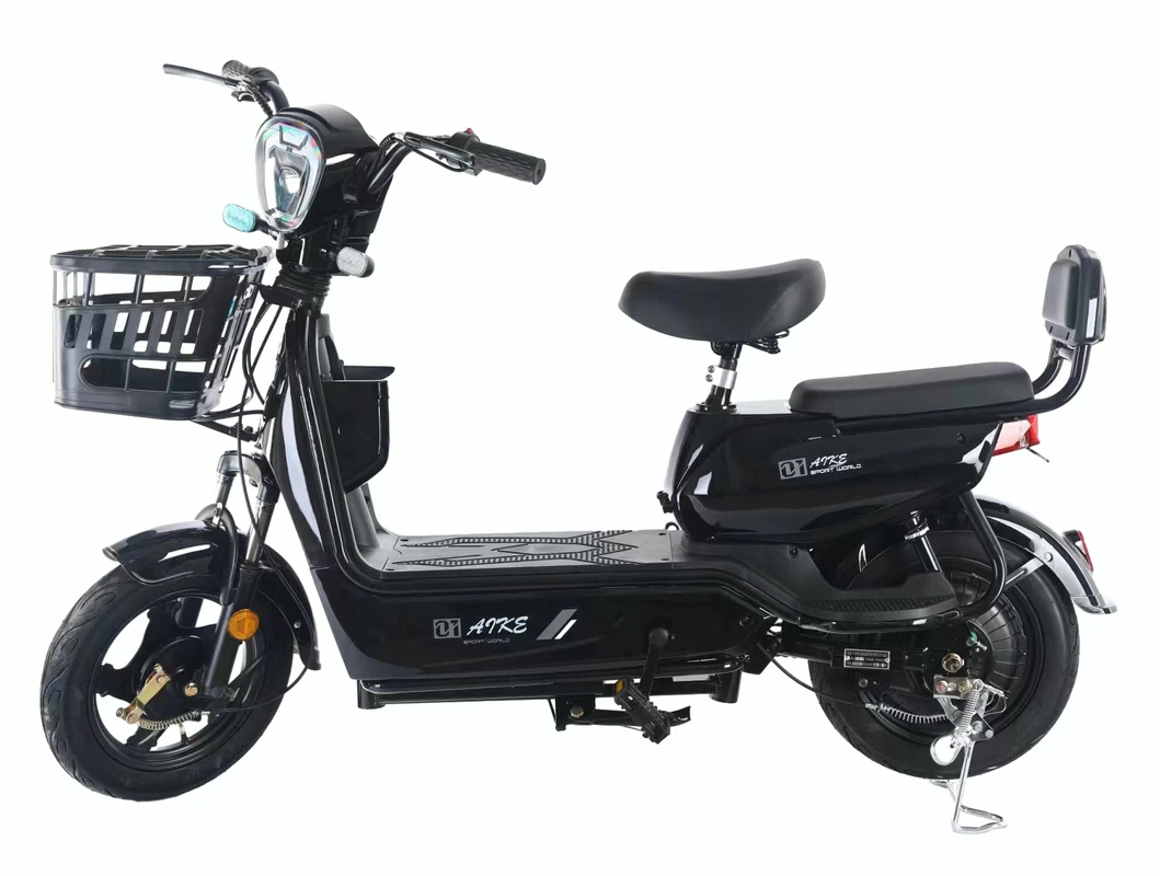 Electric Bicycle Detail 9