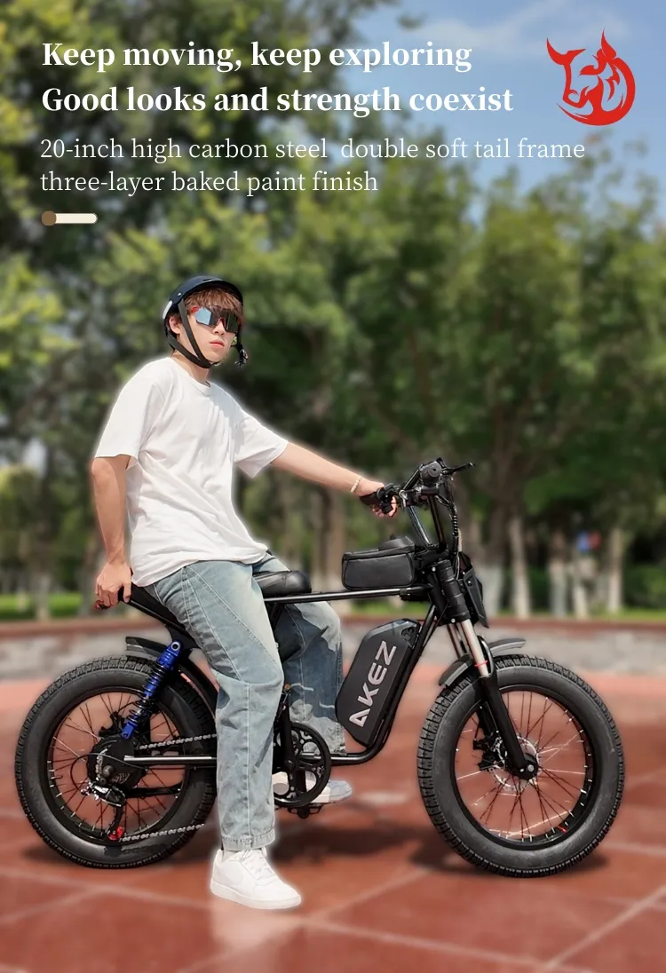 E-bike View 1