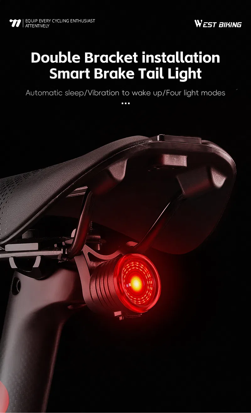 Bike Tail Light Display