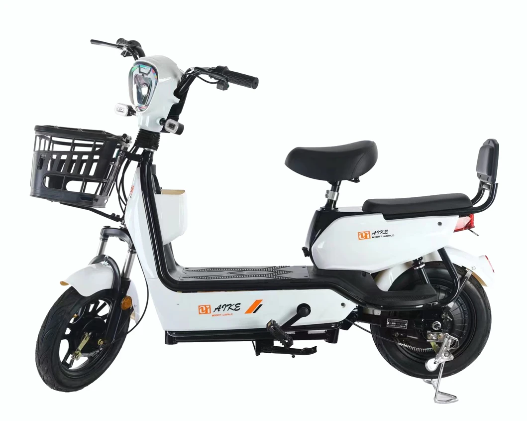 Electric Bicycle Detail 7