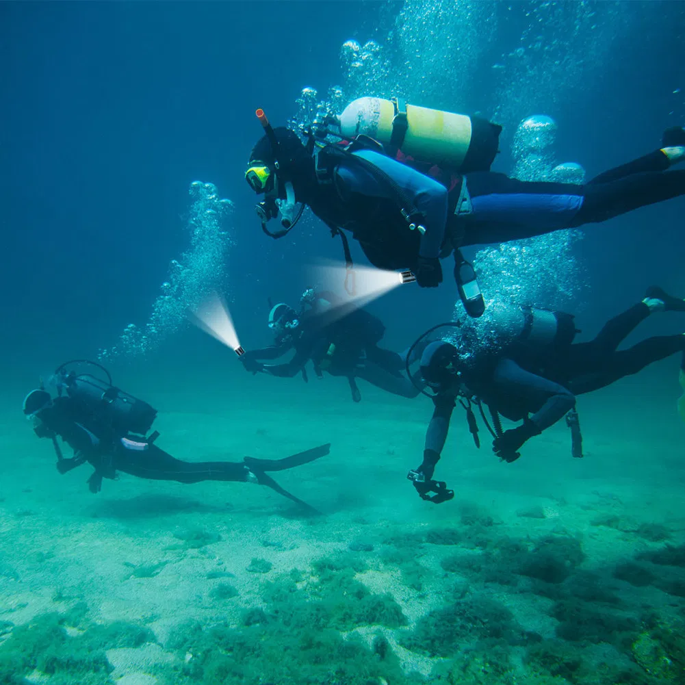 Professional Diving Torch Underwater Lamp Most Powerful LED Diving Underwater Light with Rechargeable 18650 26650 Scuba Dive Flashlight