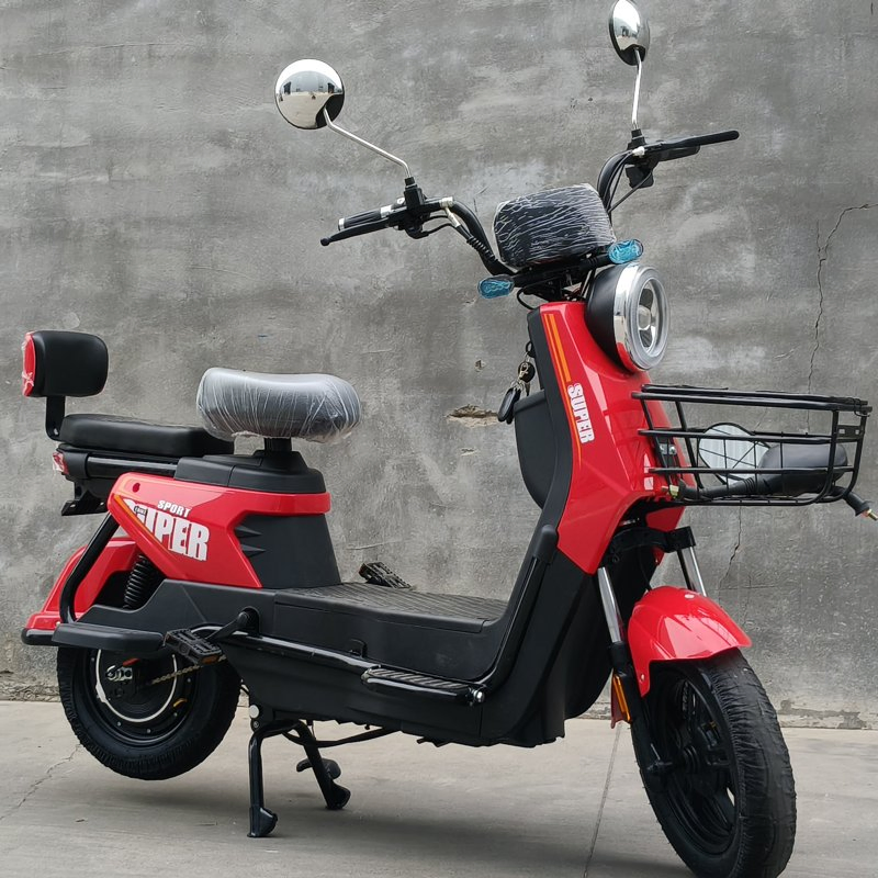 Reliable Oversized E-Bike for Daily Commuting and Heavy Cargo Transport Needs