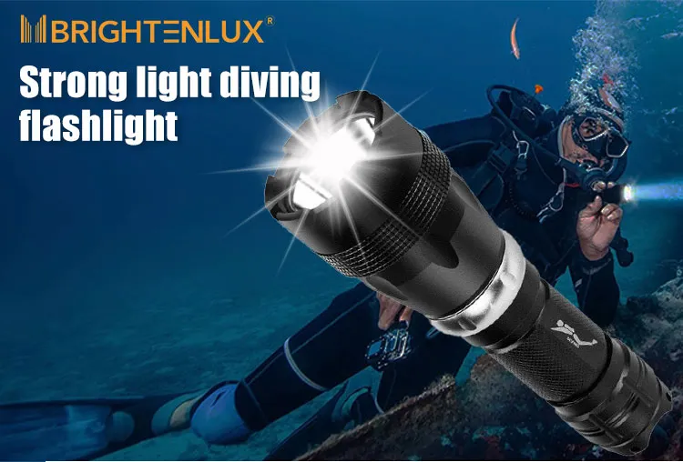 Diving Flashlight 5