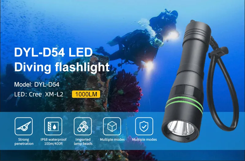 Diving Flashlight View 1