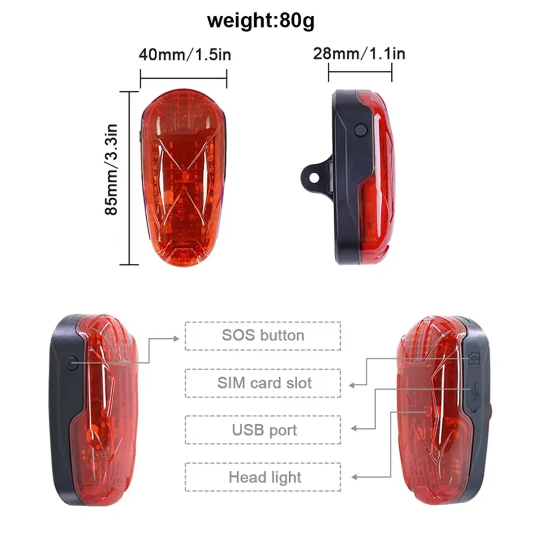 GPS Tracker Detail 2