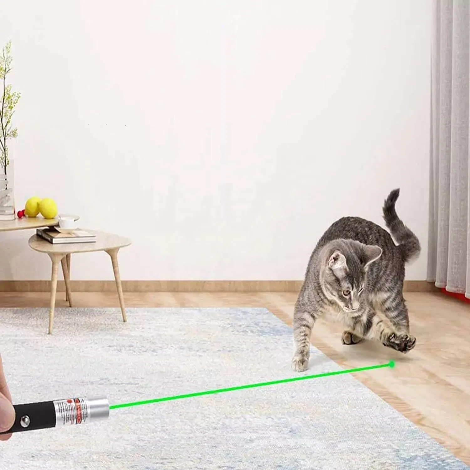 Interactive LED Cat Laser Pointer Pen LED Flashlight Powered Battery