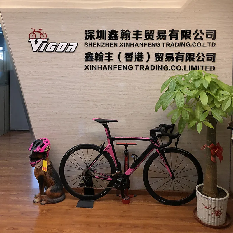 Bicycle Dynamo Carrier Light