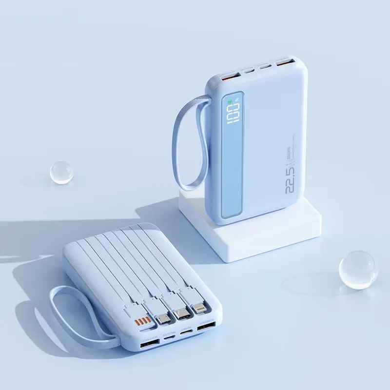 Power Bank Display 6