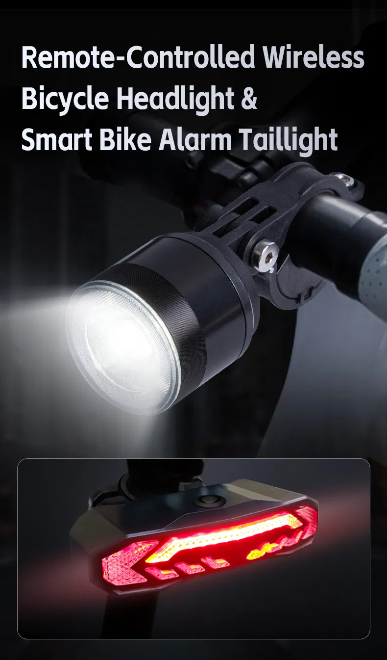 Smart Bike Light System 1