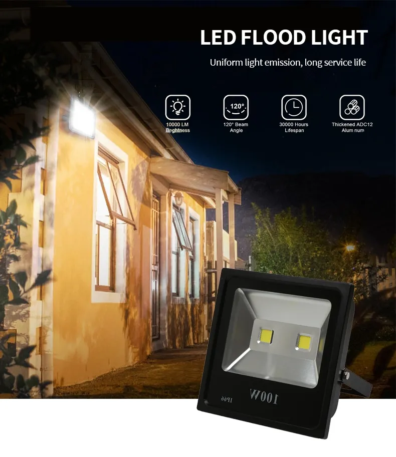 LED Floodlight Detail 1