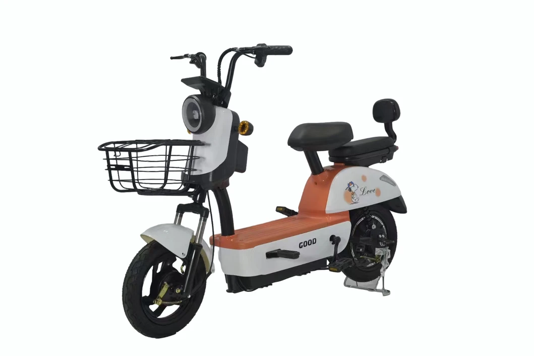 Electric Bicycle Detail 11