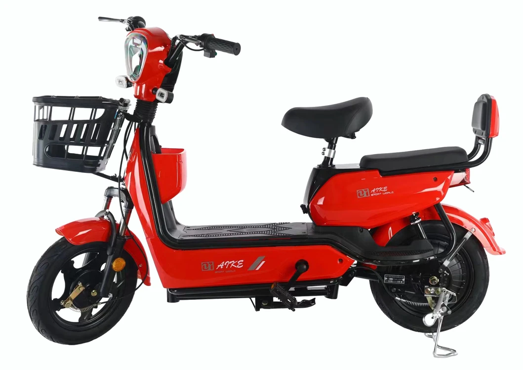 Electric Bicycle Detail 8