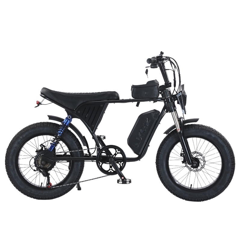 Akez X7 48V 750W 18.2ah Dual Suspension Fat Tire Electric Bike for All-Terrain Riding