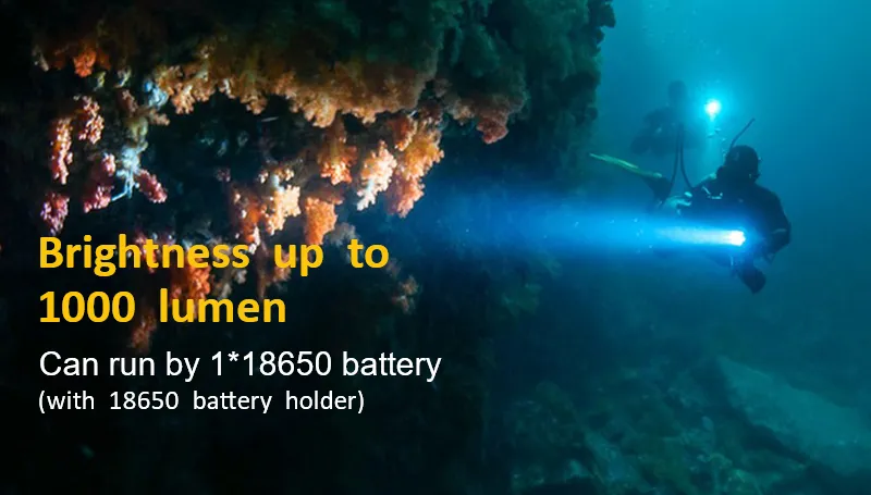Diving Flashlight View 4