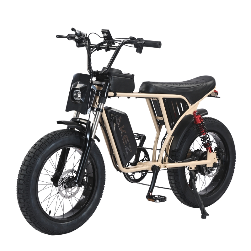 Akez X7 48V 750W 18.2ah Dual Suspension Fat Tire Electric Bike for All-Terrain Riding