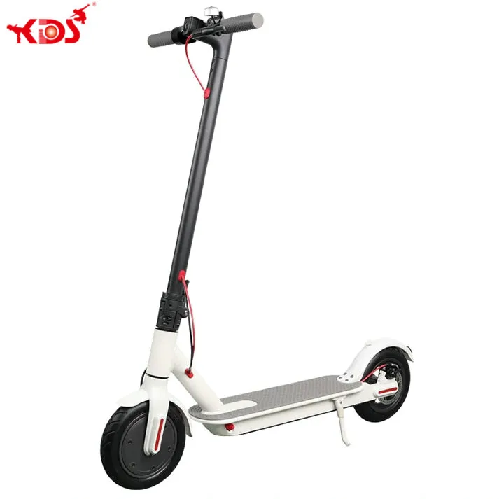 Electric Scooter Side View