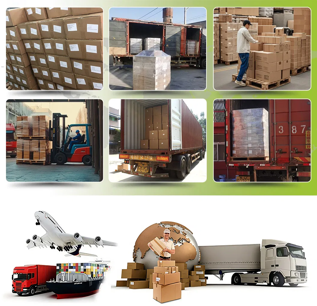 Shipping Logistics