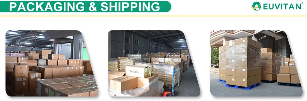 Shipping Logistics
