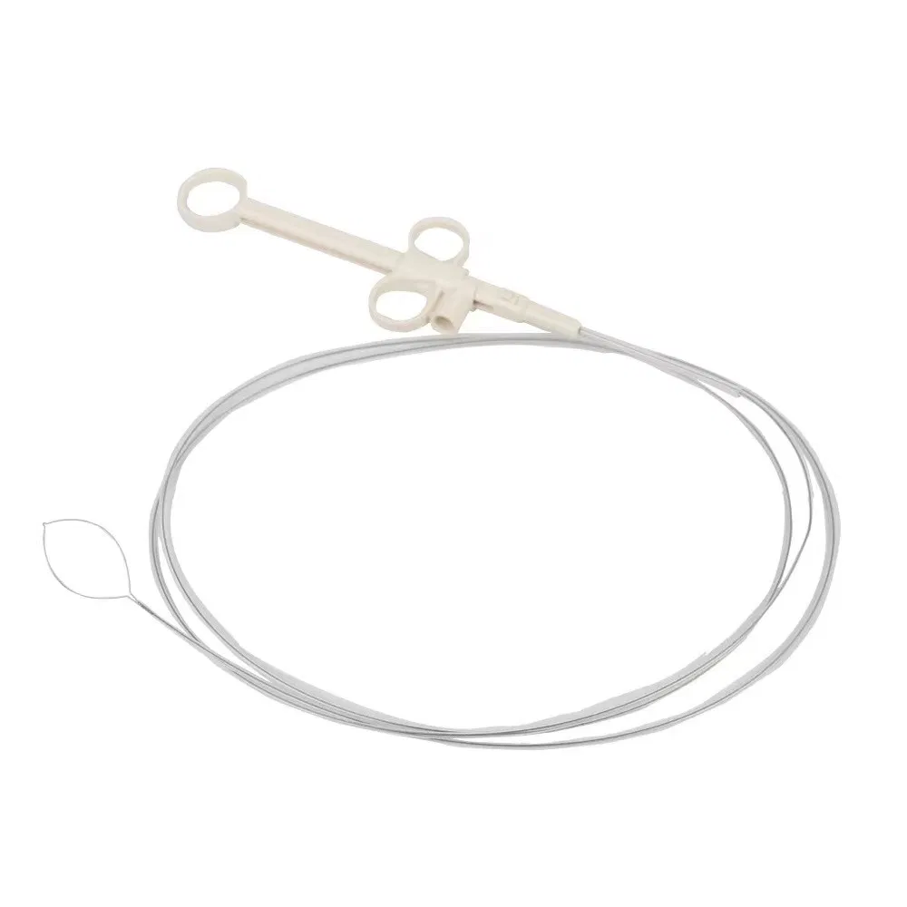 Endoscopic Resection Disposable Polypectomy Cold Snare