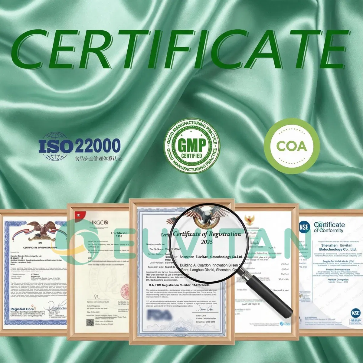 OEM Customized Friendly Effective Nicotine-Free Natural Caffee Substitutes Zero Calorie Energy Supplement Nootropic Pouches