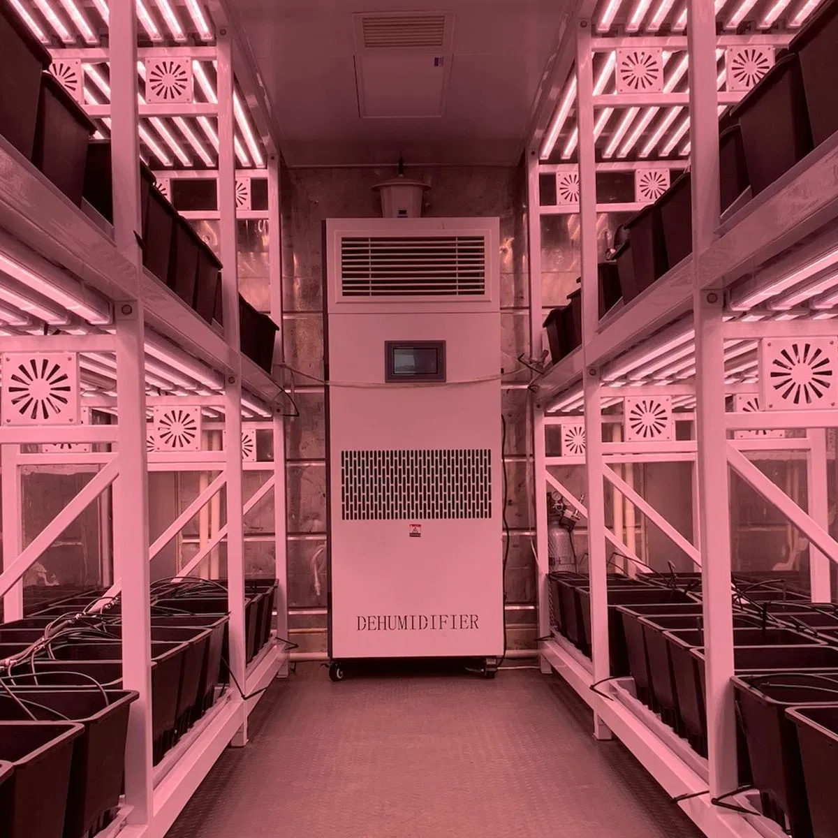 Fazenda Contêiner com Sistema Hidropônico para Agricultura Vertical Urbana