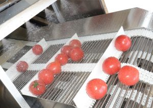 Máquina de Lavar Frutas e Legumes com Desinfecção por Ozônio e Bolhas de Ar