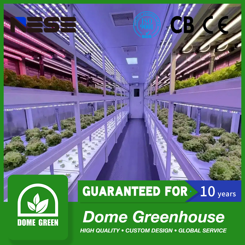 Fazenda Contêiner com Sistema Hidropônico para Agricultura Vertical Urbana