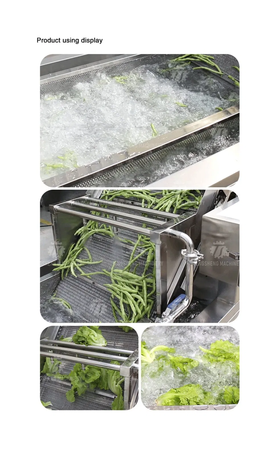 Lavadora de Vegetais 2