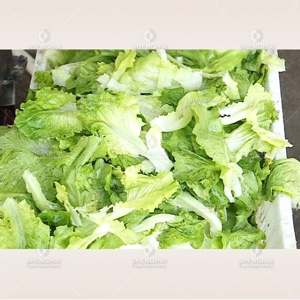 Máquina de Lavagem de Legumes com Desinfecção Automática por Ozônio, Máquina de Limpeza de Frutas com Bolhas de Ar