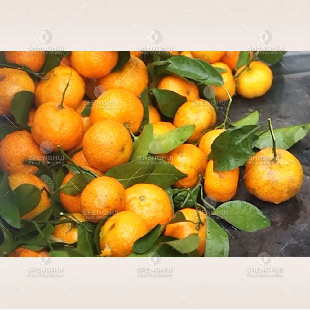 Máquina de Lavagem de Legumes com Desinfecção Automática por Ozônio, Máquina de Limpeza de Frutas com Bolhas de Ar
