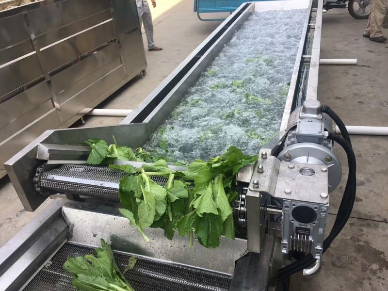 Máquina de Lavar Frutas e Legumes com Desinfecção por Ozônio e Bolhas de Ar