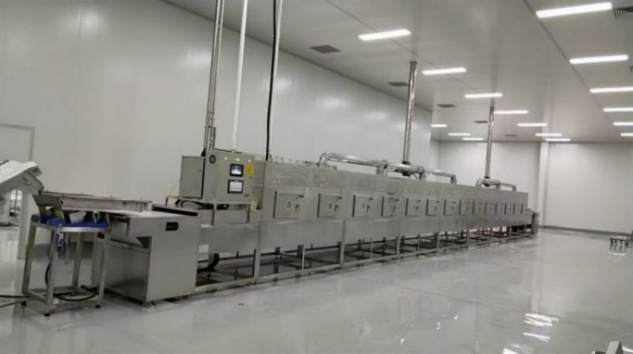 Secador de Cinta Transportadora para Secagem de Folhas de Chá, Flores, Fatias de Vegetais, Frutas Conservadas com Circulação Uniforme de Ar Quente, Máquina de Esterilização por Micro-ondas