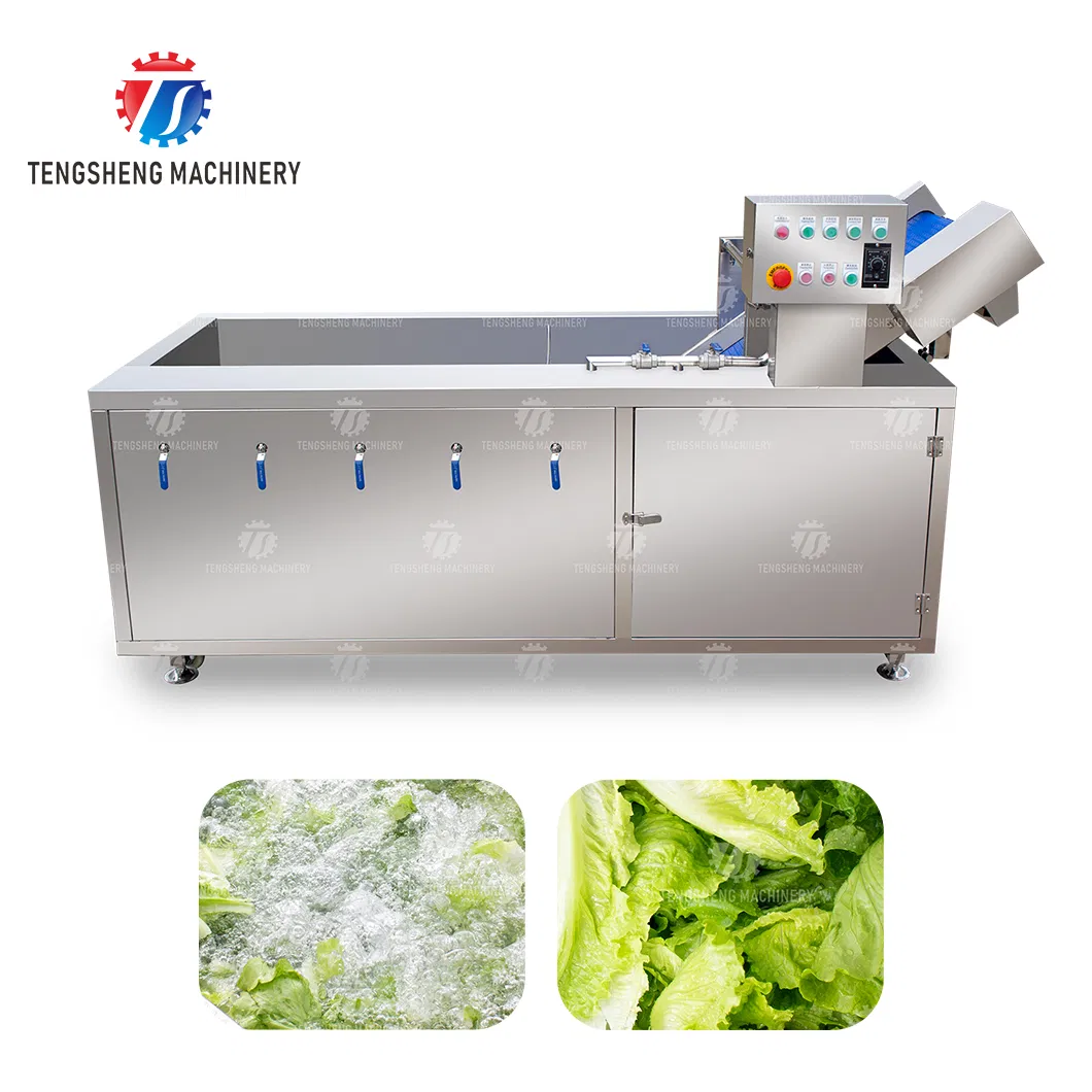 Ts-X200 Máquina de Lavagem de Frutas, Legumes, Frutos do Mar com Desinfecção por Ozônio