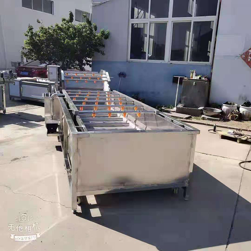 Esterilização de Ozônio Máquina de Limpeza de Tomate e Maçã com Bolha de Ar para Lavagem de Frutas e Vegetais