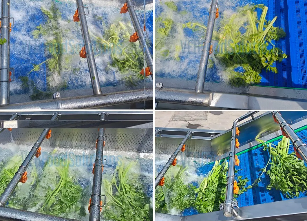 Aplicação Frutas