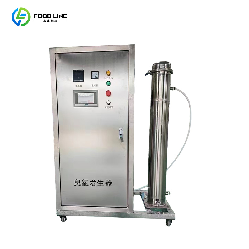 Máquina de Gerador de Ozônio Anion Ozon para Montagem na Parede